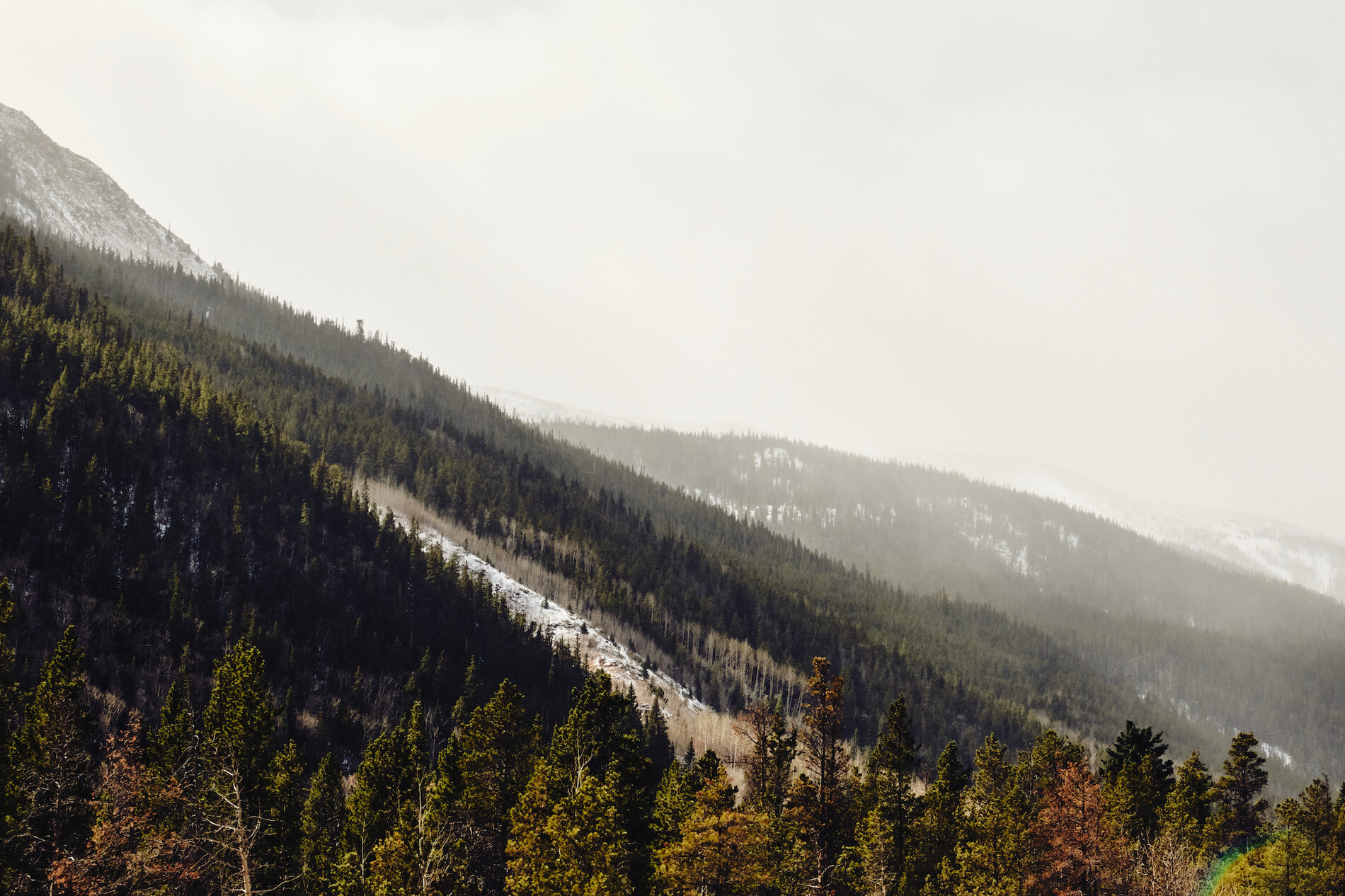 Colorado Trip October 2019