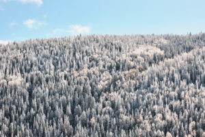 Colorado Trip October 2019