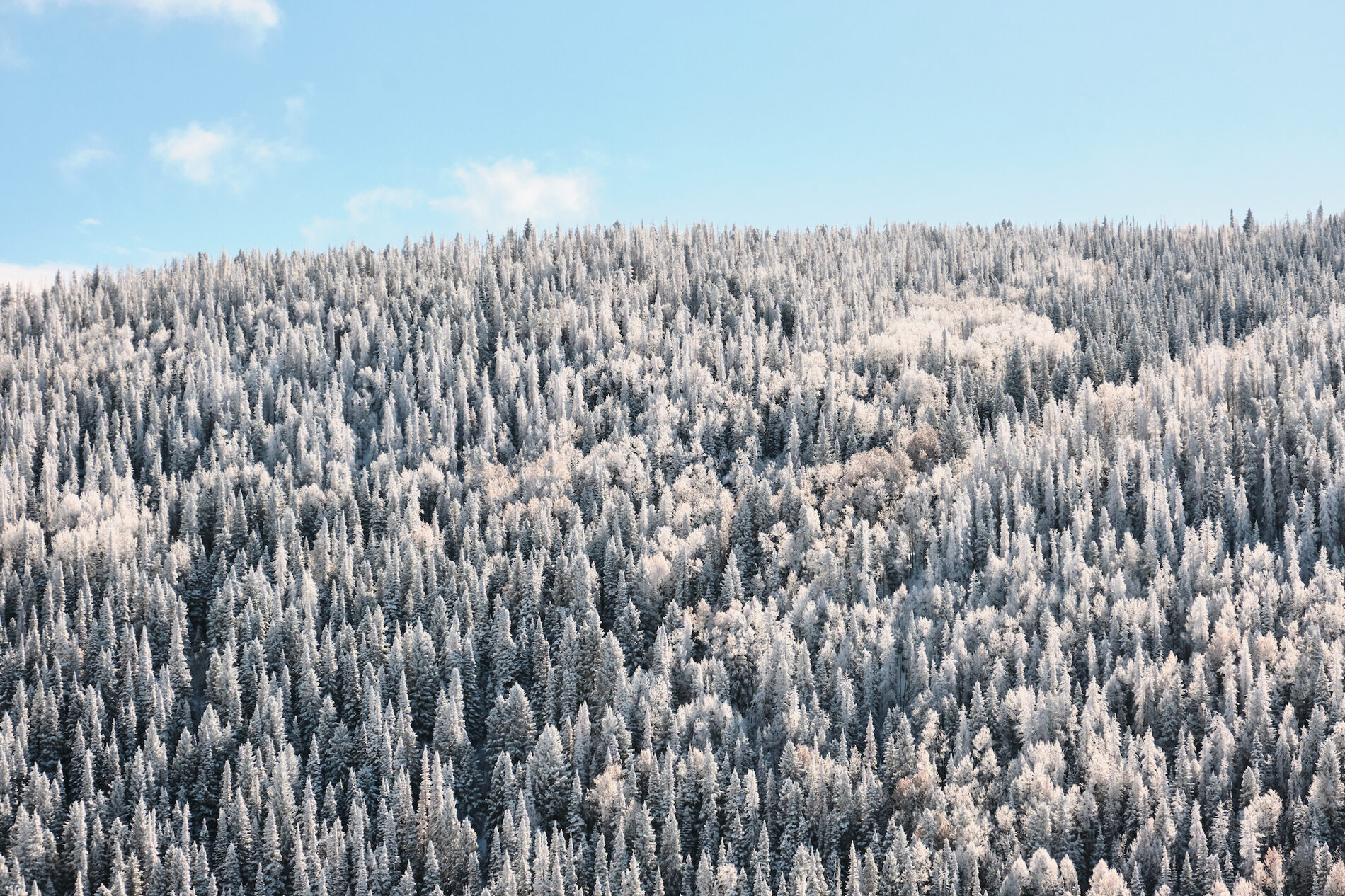 Colorado Trip October 2019