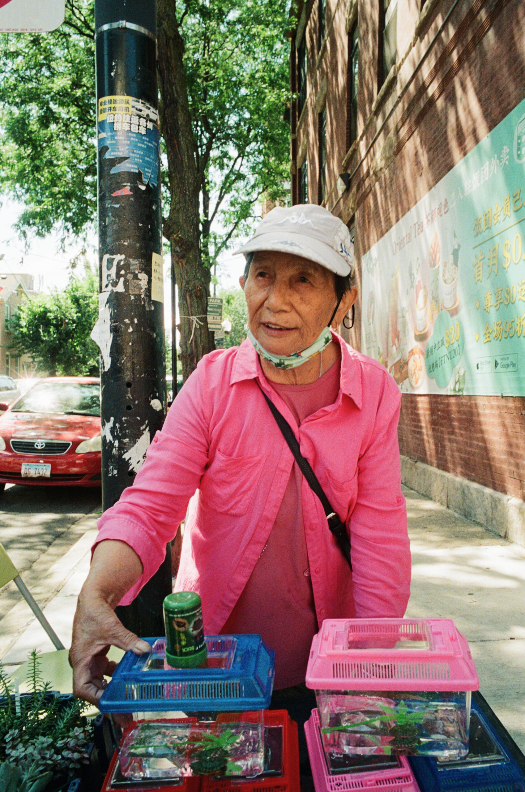 Turtle Monger_000020700028